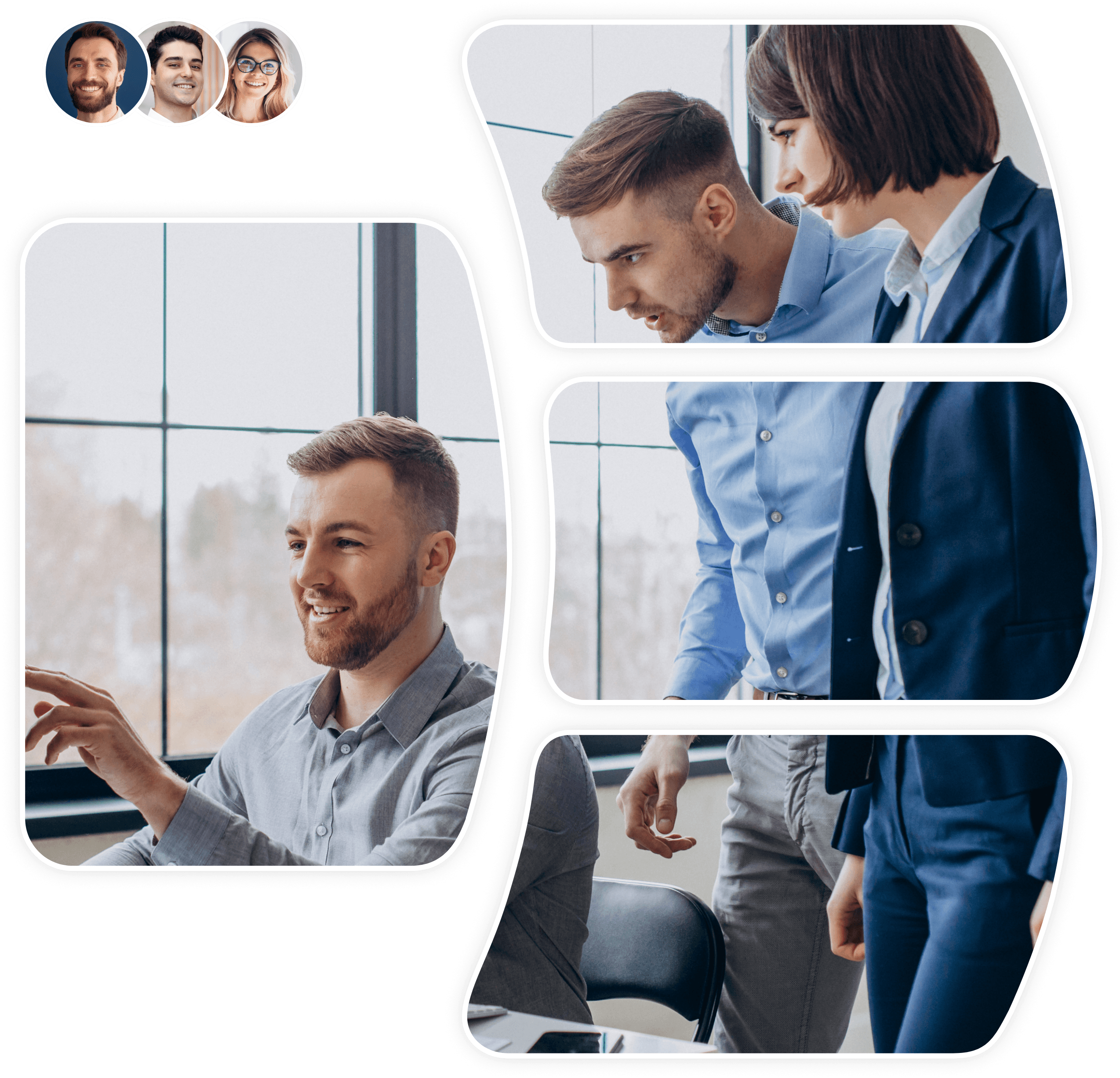 Professional Auditor